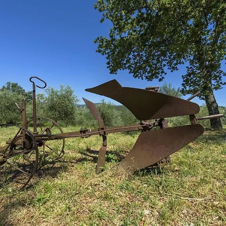 La Vigna *