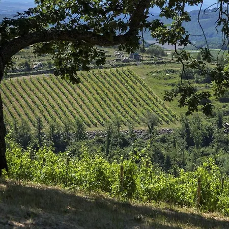La Vigna Holiday home *