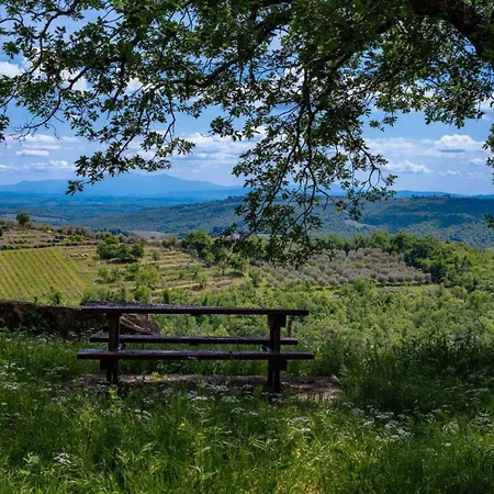 Holiday home La Vigna